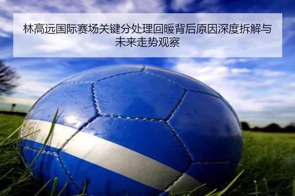 林高远国际赛场关键分处理回暖背后原因深度拆解与未来走势观察