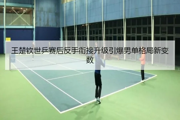 王楚钦世乒赛后反手衔接升级引爆男单格局新变数